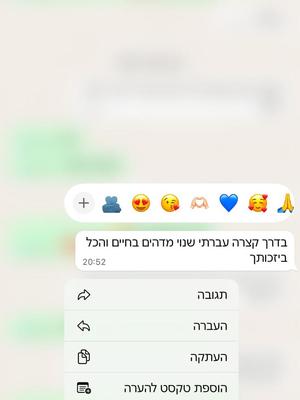 המלצה 3