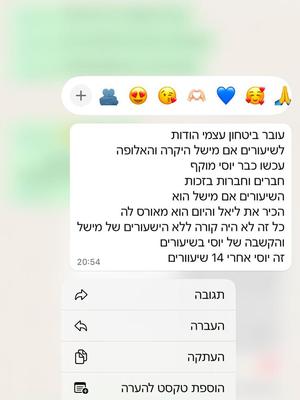 המלצה 5