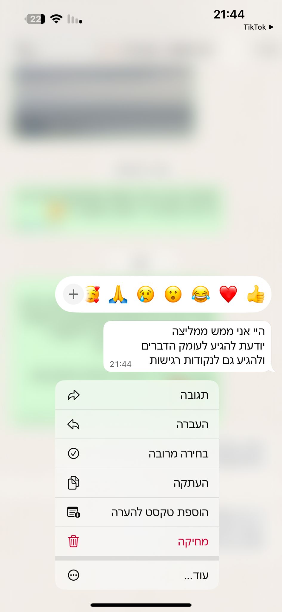 המלצה 4